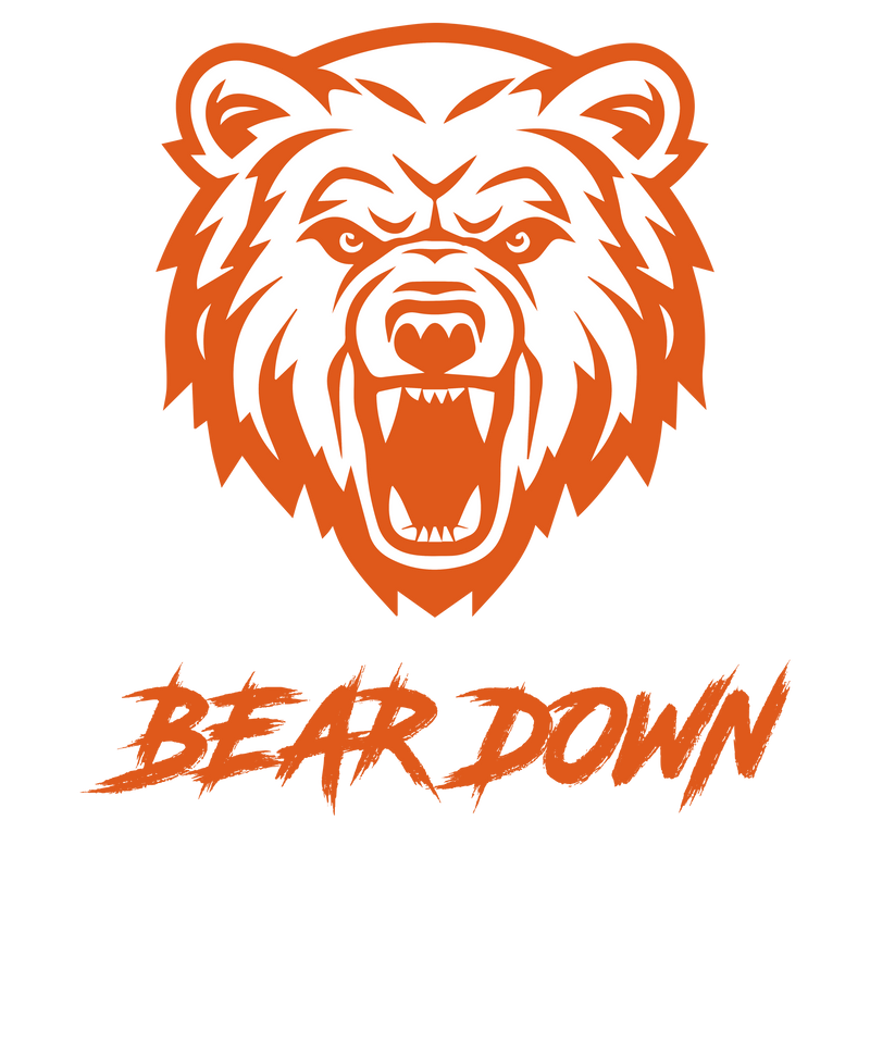 Load image into Gallery viewer, BEAR DOWN DTF Transfer