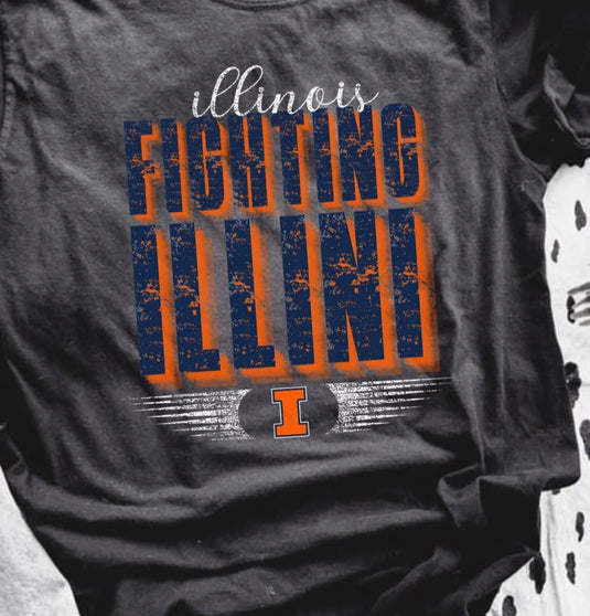Fighting Illinois DTF Transfer