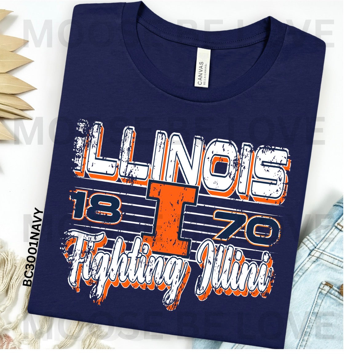 Illinois 1870 DTF Transfer