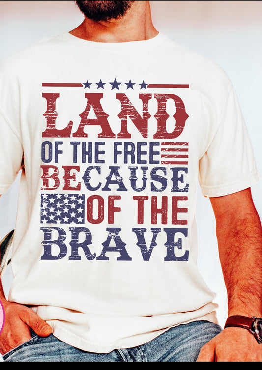 Land of the Free DTF Transfer